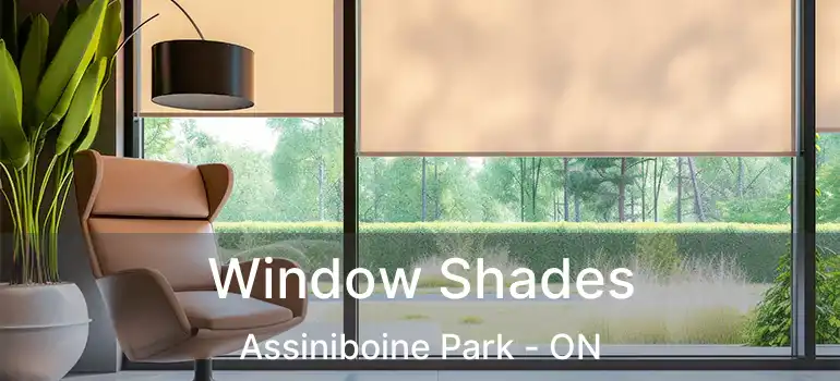  Window Shades Assiniboine Park - ON