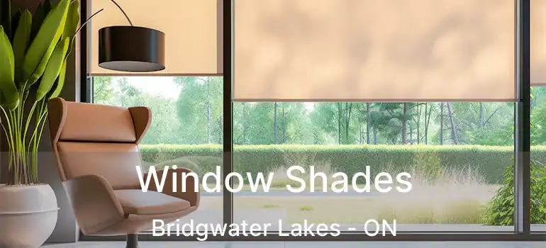  Window Shades Bridgwater Lakes - ON