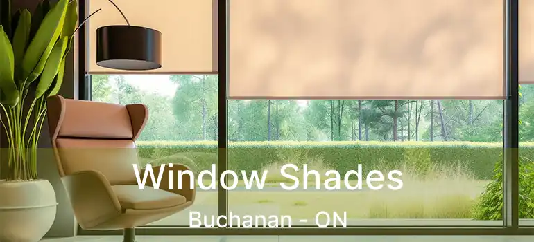  Window Shades Buchanan - ON