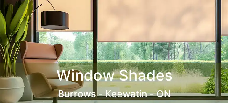  Window Shades Burrows - Keewatin - ON