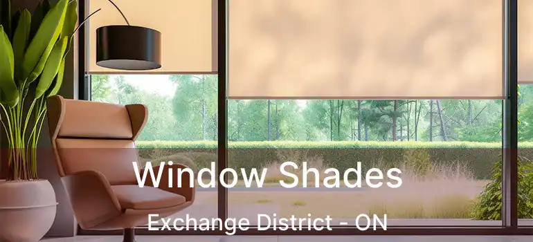  Window Shades Exchange District - ON
