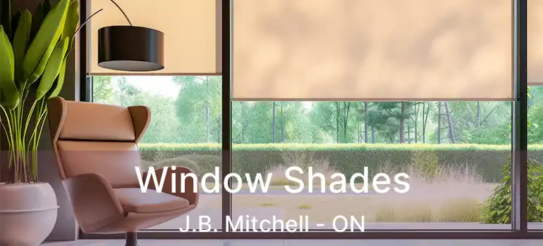 Window Shades J.B. Mitchell - ON