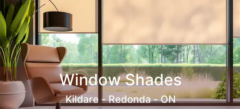  Window Shades Kildare - Redonda - ON