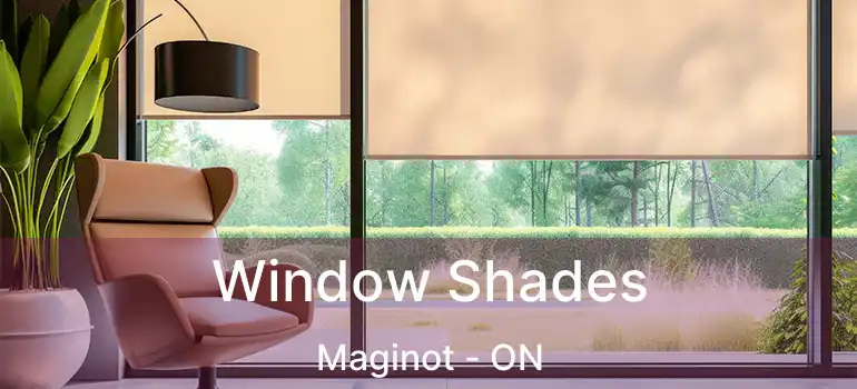  Window Shades Maginot - ON