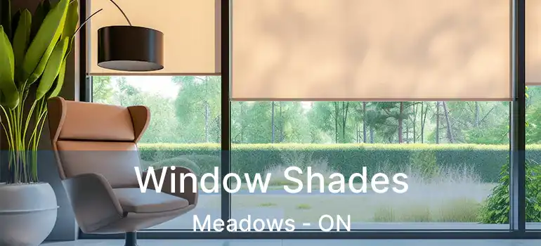  Window Shades Meadows - ON
