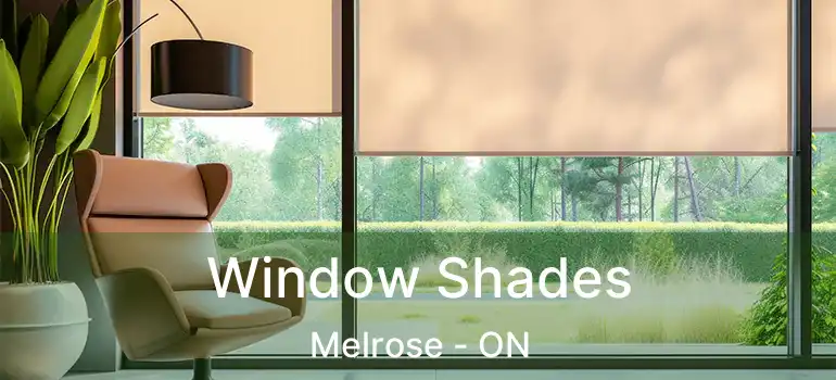 Window Shades Melrose - ON