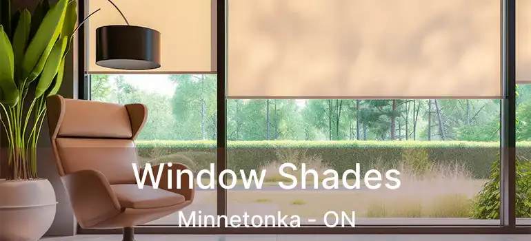  Window Shades Minnetonka - ON