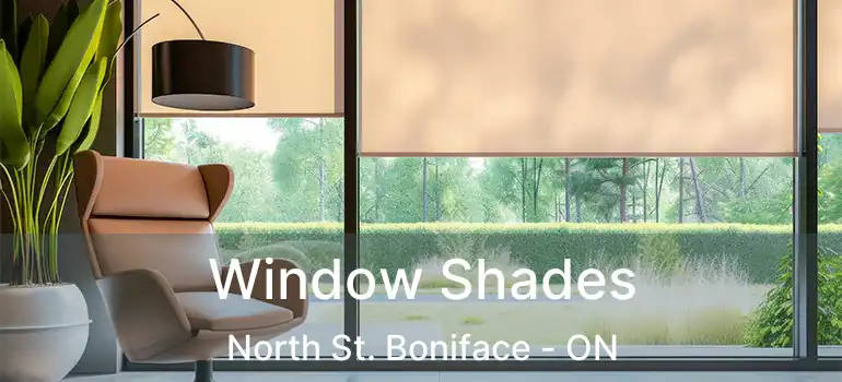  Window Shades North St. Boniface - ON