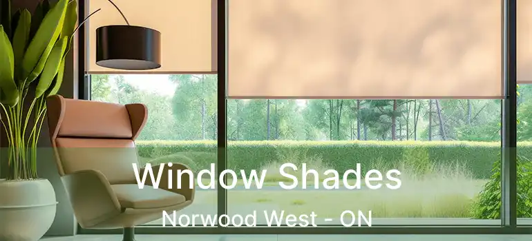 Window Shades Norwood West - ON