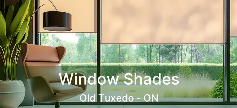  Window Shades Old Tuxedo - ON