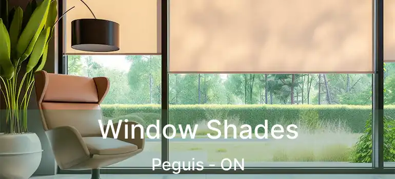  Window Shades Peguis - ON