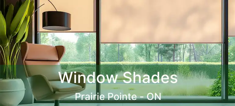  Window Shades Prairie Pointe - ON