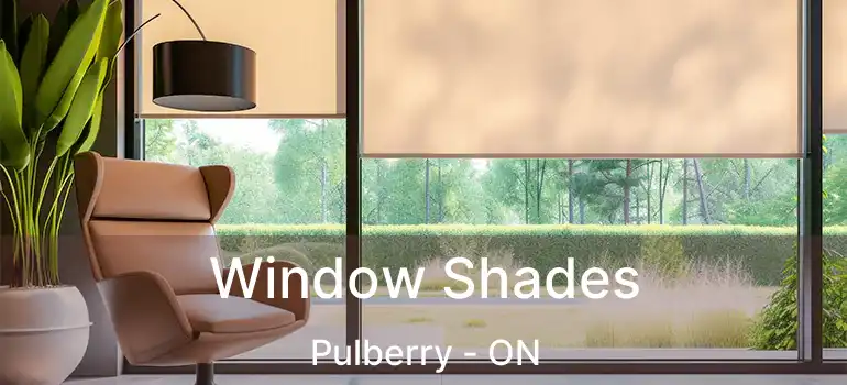  Window Shades Pulberry - ON