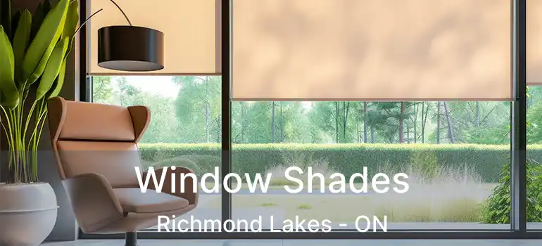  Window Shades Richmond Lakes - ON