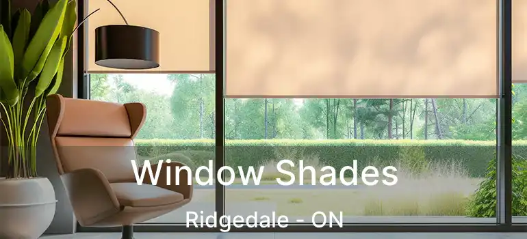 Window Shades Ridgedale - ON