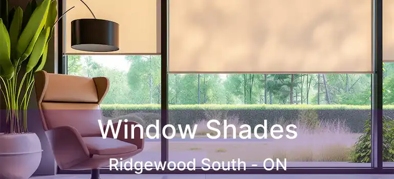  Window Shades Ridgewood South - ON