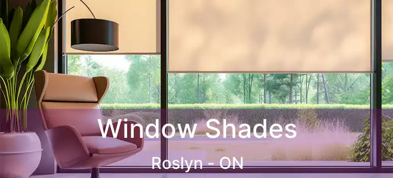  Window Shades Roslyn - ON