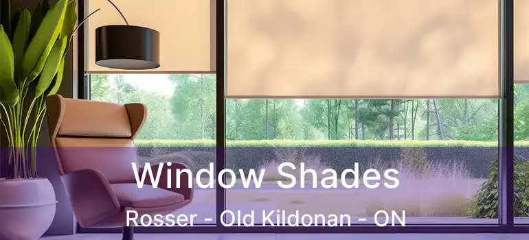  Window Shades Rosser - Old Kildonan - ON