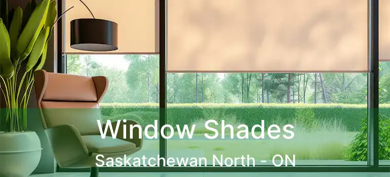  Window Shades Saskatchewan North - ON