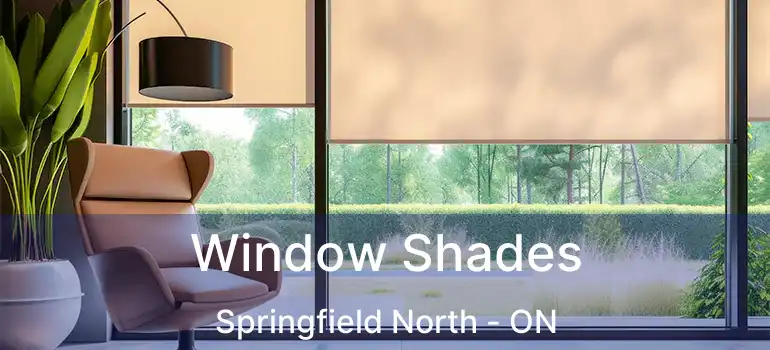  Window Shades Springfield North - ON