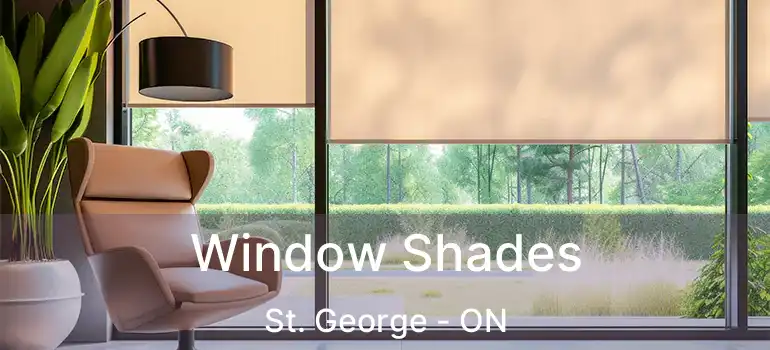  Window Shades St. George - ON