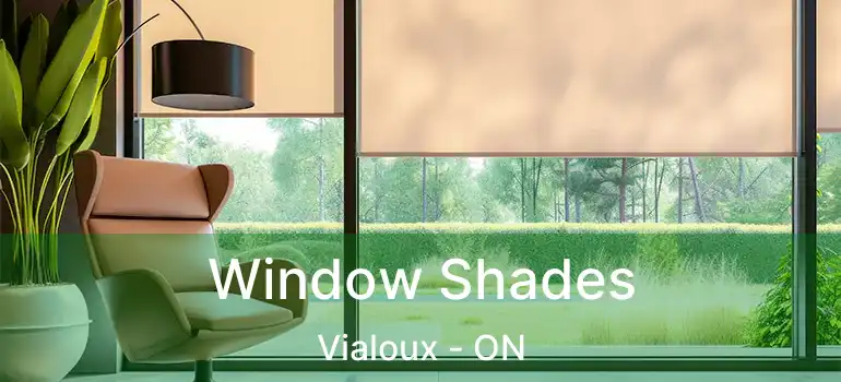  Window Shades Vialoux - ON