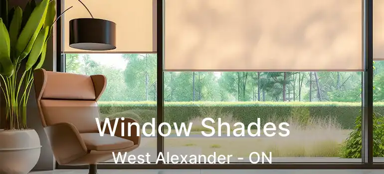  Window Shades West Alexander - ON
