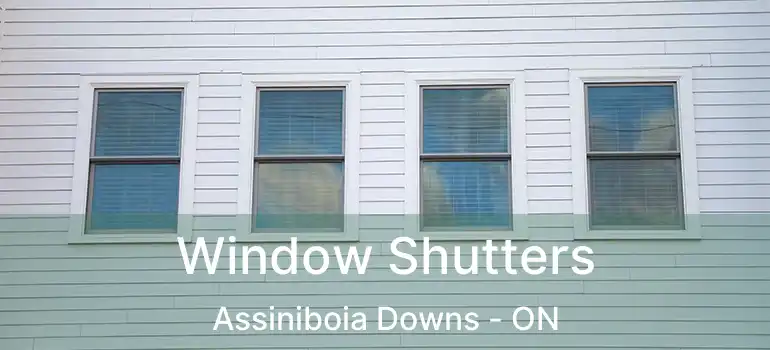  Window Shutters Assiniboia Downs - ON