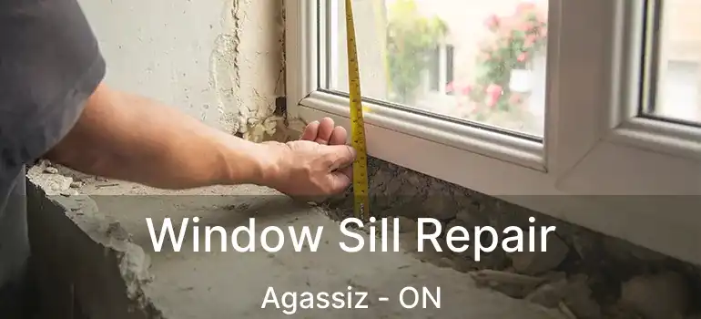  Window Sill Repair Agassiz - ON
