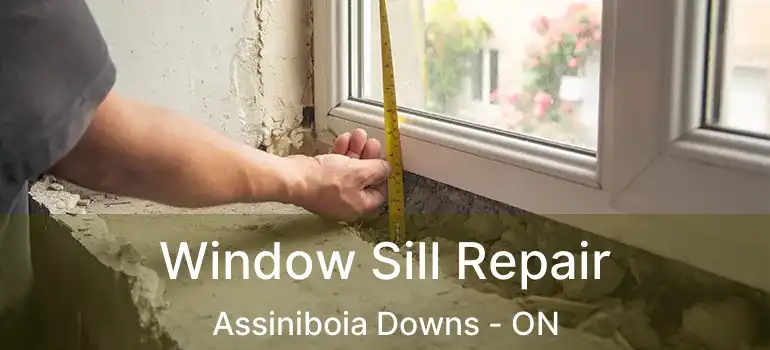  Window Sill Repair Assiniboia Downs - ON