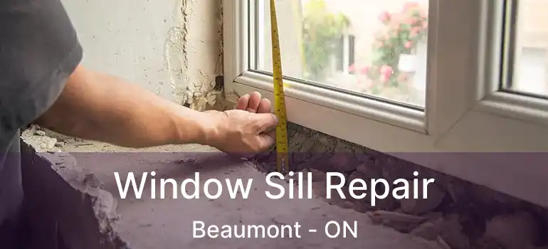 Window Sill Repair Beaumont - ON