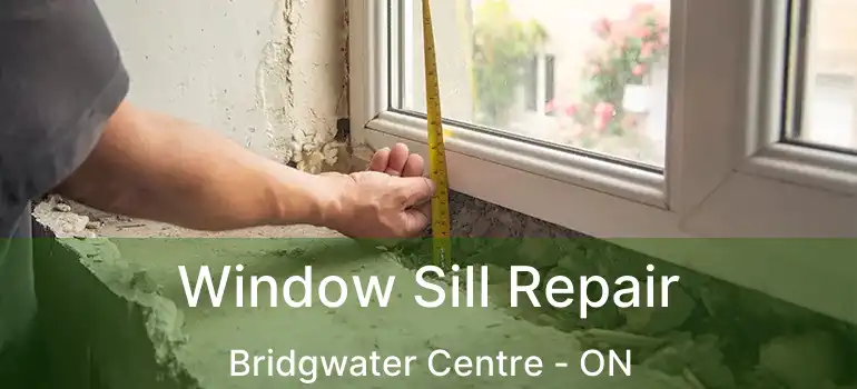 Window Sill Repair Bridgwater Centre - ON