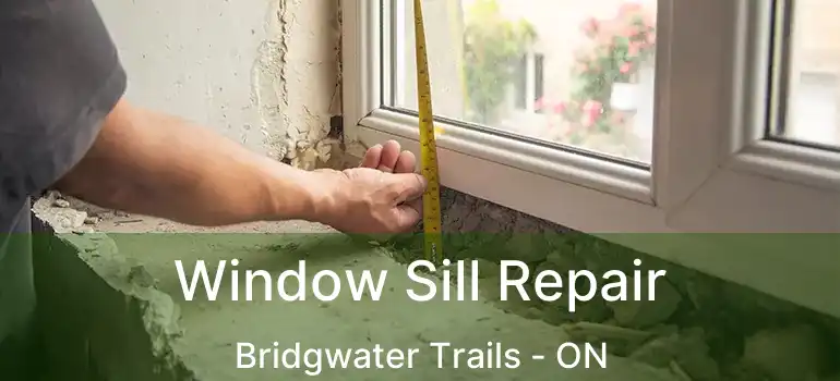  Window Sill Repair Bridgwater Trails - ON