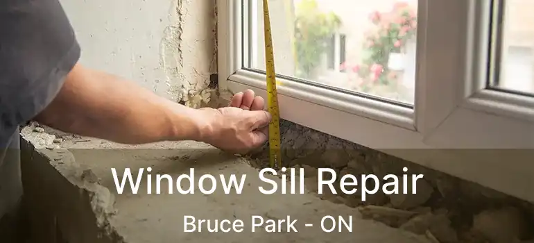  Window Sill Repair Bruce Park - ON