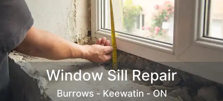  Window Sill Repair Burrows - Keewatin - ON