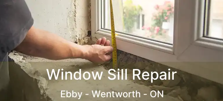  Window Sill Repair Ebby - Wentworth - ON