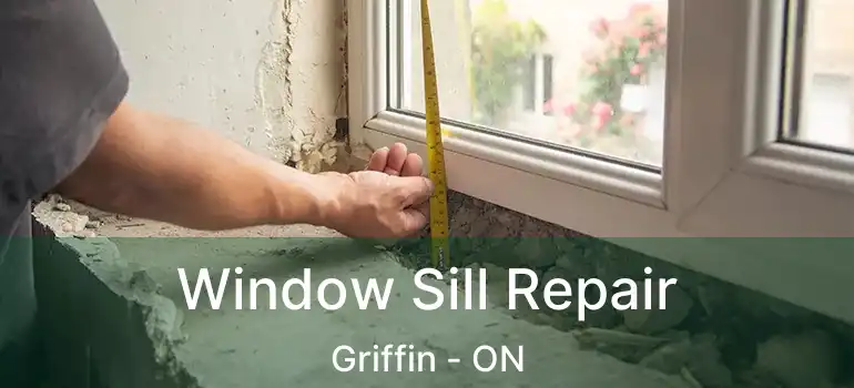  Window Sill Repair Griffin - ON