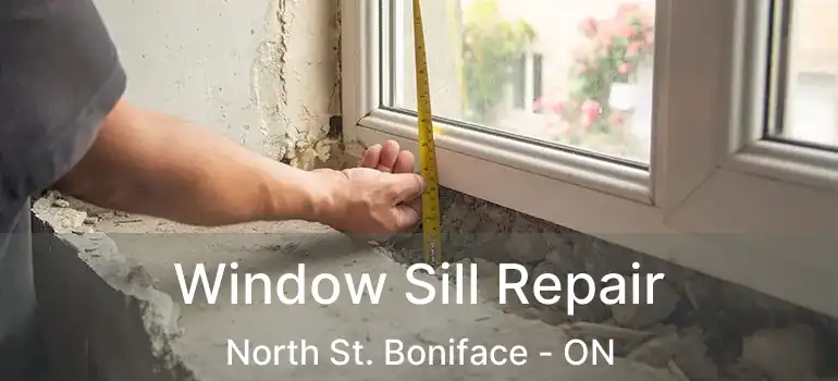  Window Sill Repair North St. Boniface - ON