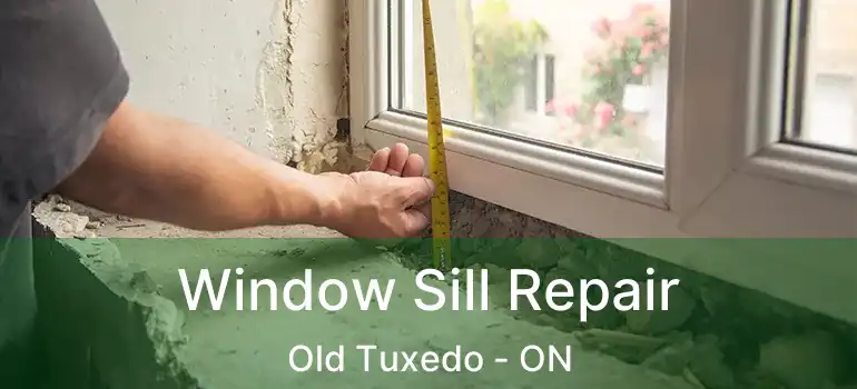  Window Sill Repair Old Tuxedo - ON