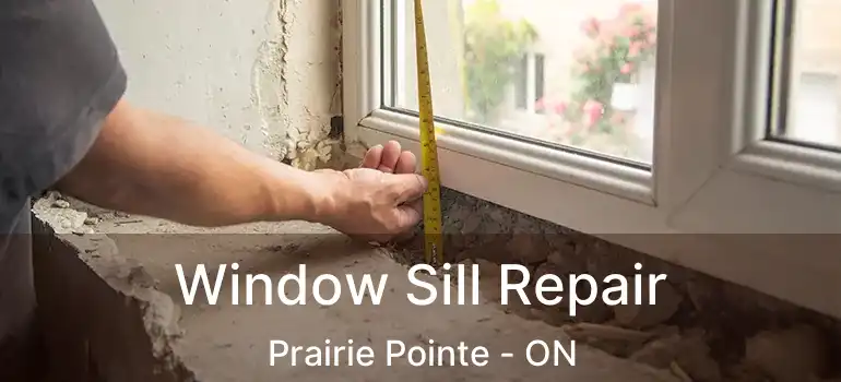  Window Sill Repair Prairie Pointe - ON