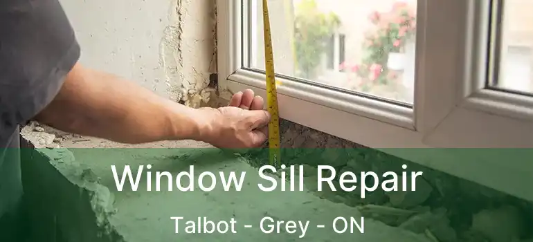  Window Sill Repair Talbot - Grey - ON