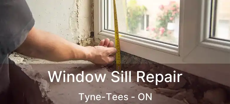  Window Sill Repair Tyne-Tees - ON