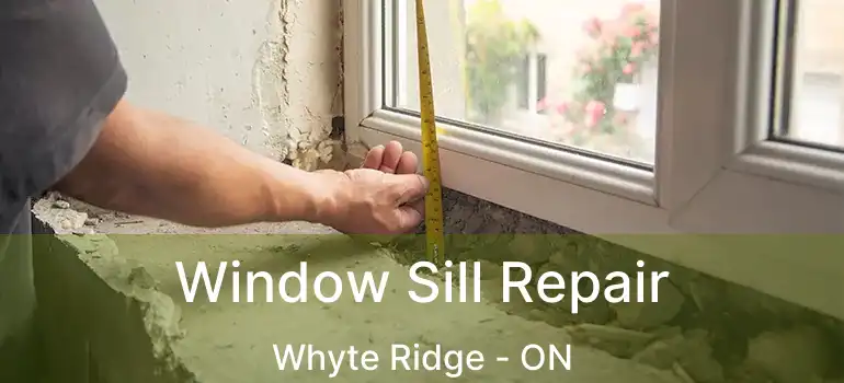  Window Sill Repair Whyte Ridge - ON