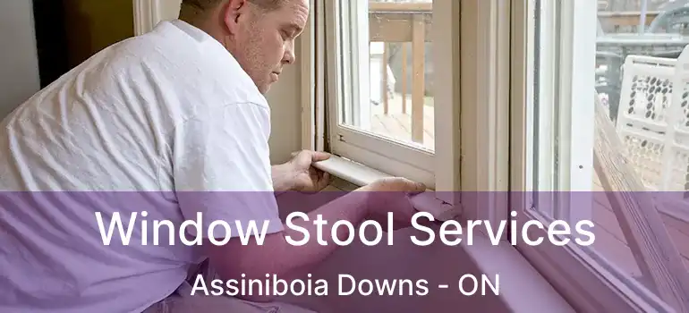  Window Stool Services Assiniboia Downs - ON