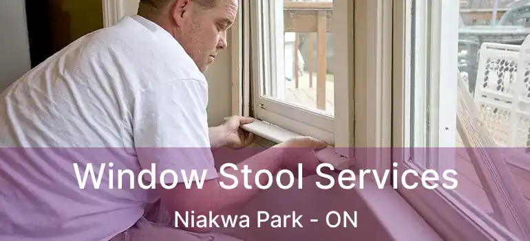  Window Stool Services Niakwa Park - ON