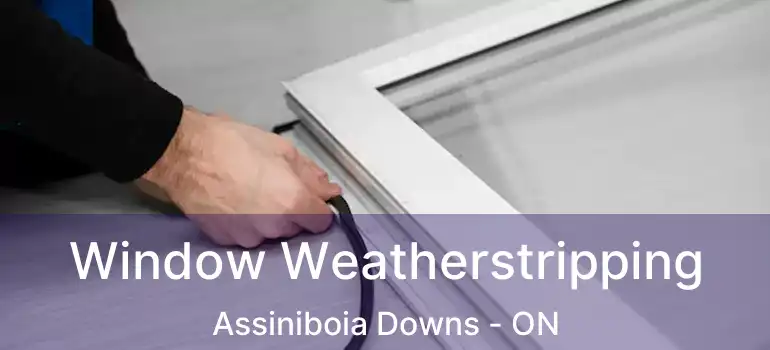  Window Weatherstripping Assiniboia Downs - ON