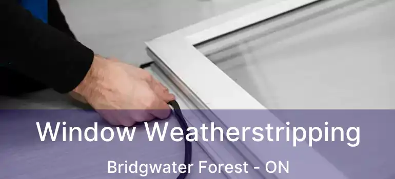  Window Weatherstripping Bridgwater Forest - ON
