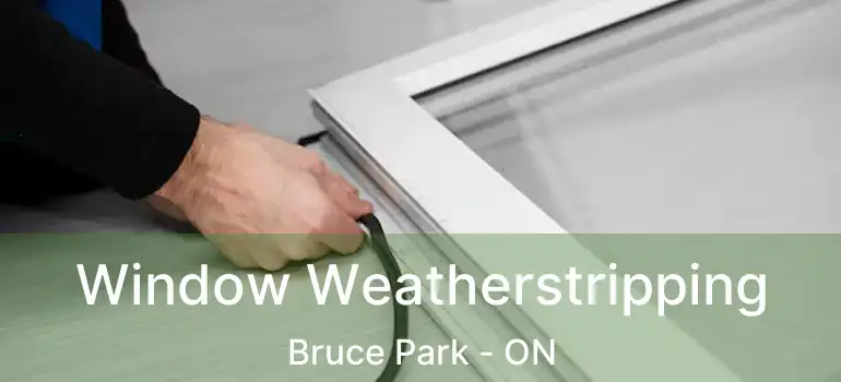  Window Weatherstripping Bruce Park - ON