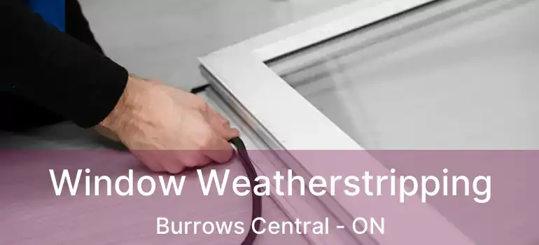  Window Weatherstripping Burrows Central - ON