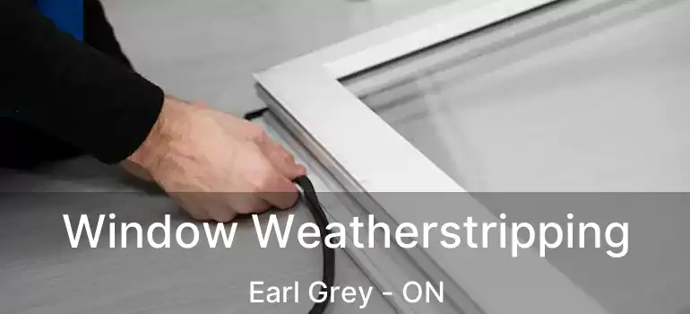  Window Weatherstripping Earl Grey - ON